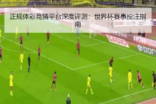 正规体彩竞猜平台深度评测：世界杯赛事投注指南